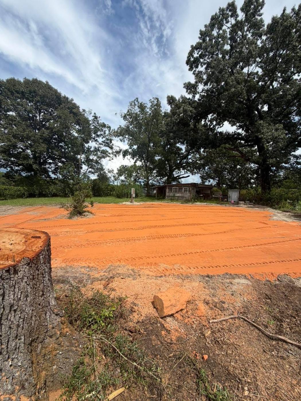 Large open cleared lot with a cut tree stump and equipment tracks visible in the soil