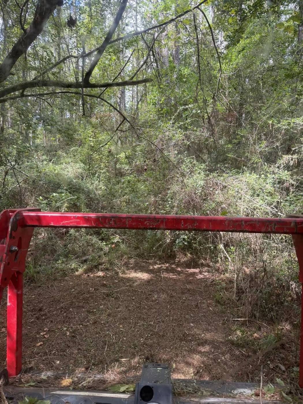 Dense overgrown brush and trees before land clearing